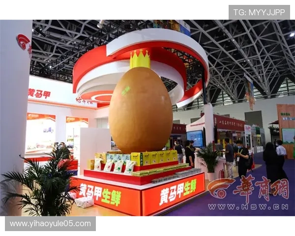 壹号国际.wwc：融合国际资源打造多元化投资与发展平台