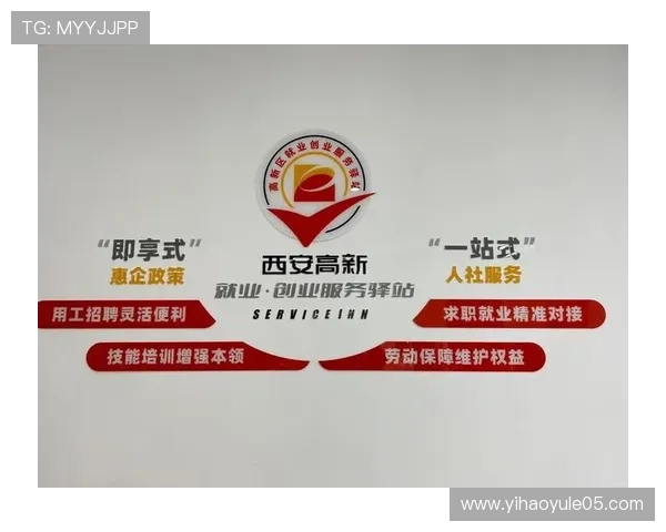 壹号网：打造一站式综合服务平台满足您的多样化需求